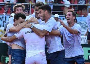 Báez ganó una batalla en Rosario y Argentina volverá a jugar las finales de la Copa Davis