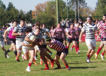 SE VAN ACOMODANDO LOS DADOS