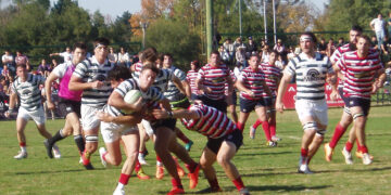 SE VAN ACOMODANDO LOS DADOS