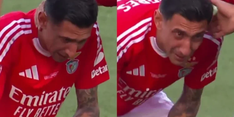 Conmovedor video: Ángel Di María lloró desconsoladamente en su despedida del Benfica